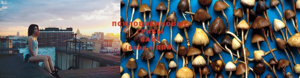 хмурый Коряжма