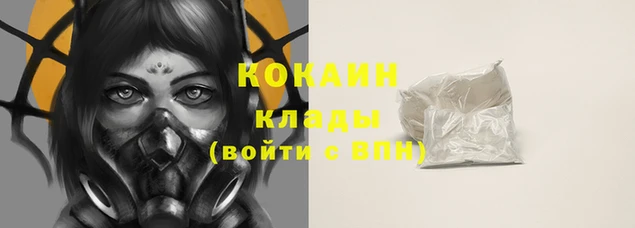спайс Корсаков