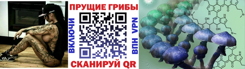 Галлюциногенные грибы мухоморы  где купить наркотик  Таганрог 